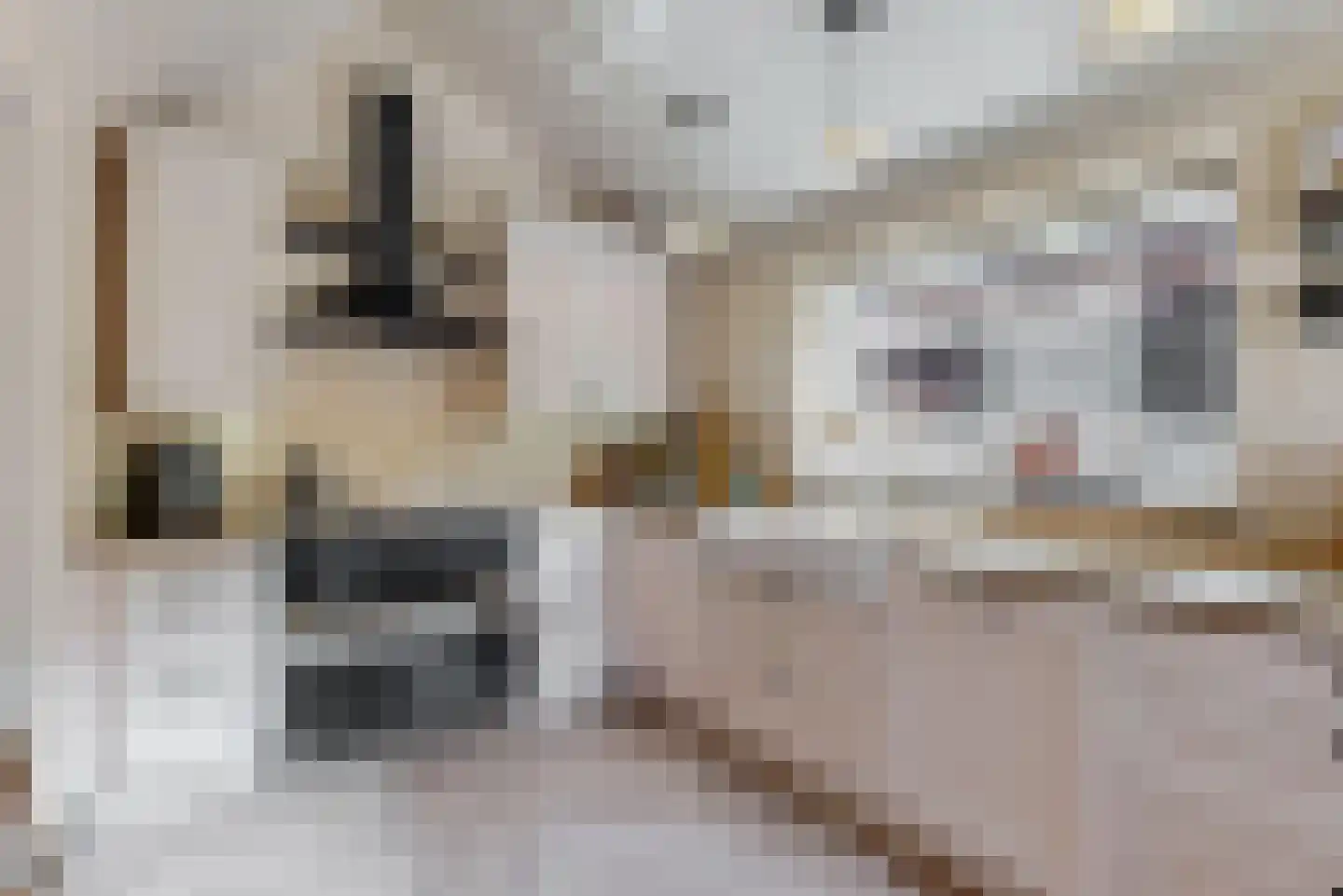Belboomweg 32 Stein thumbnail 9