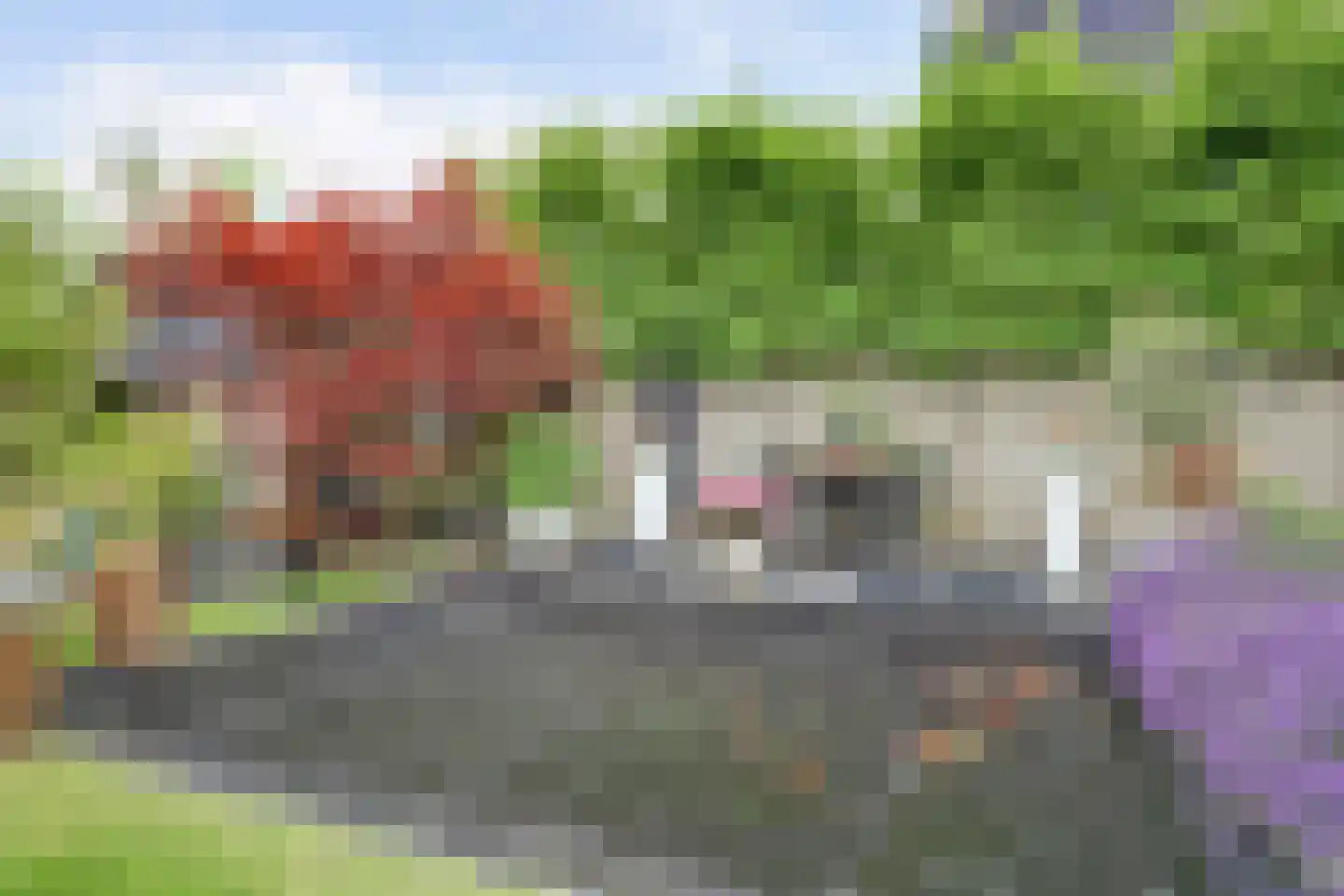 Belcampo 5 Grootebroek thumbnail 39