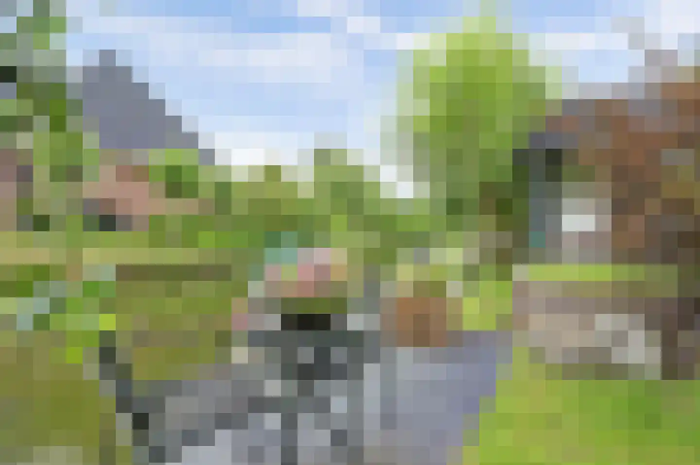 Belcampo 5 Grootebroek thumbnail 40