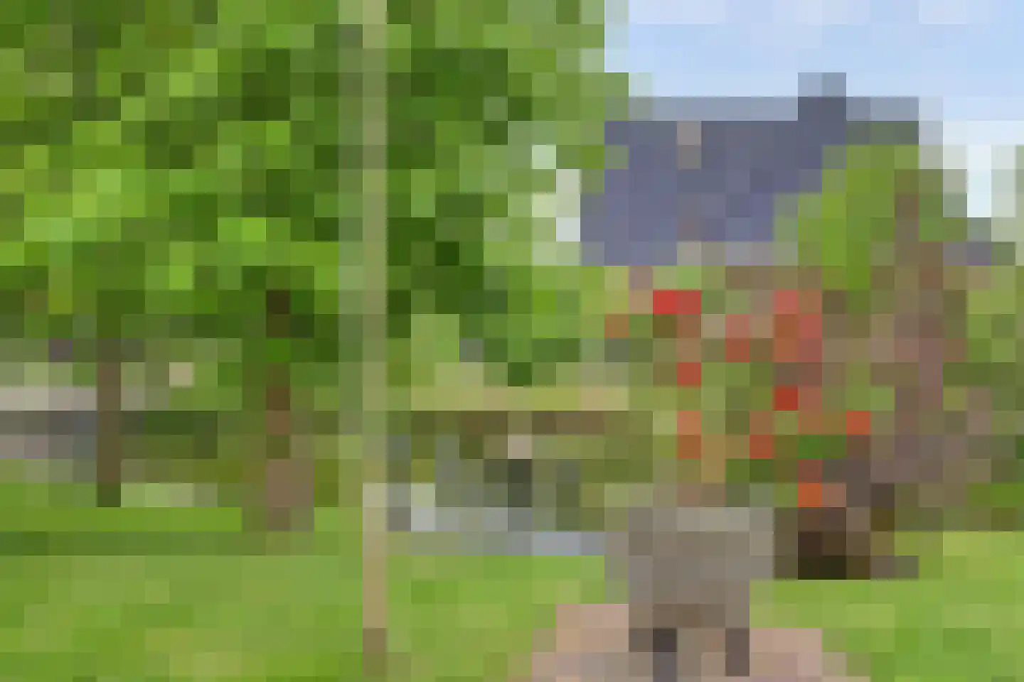 Belcampo 5 Grootebroek thumbnail 61