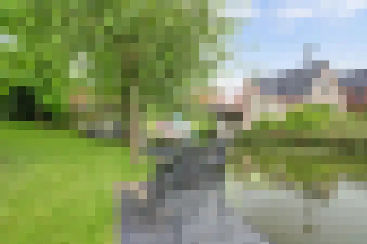 Belcampo 5 Grootebroek thumbnail 63