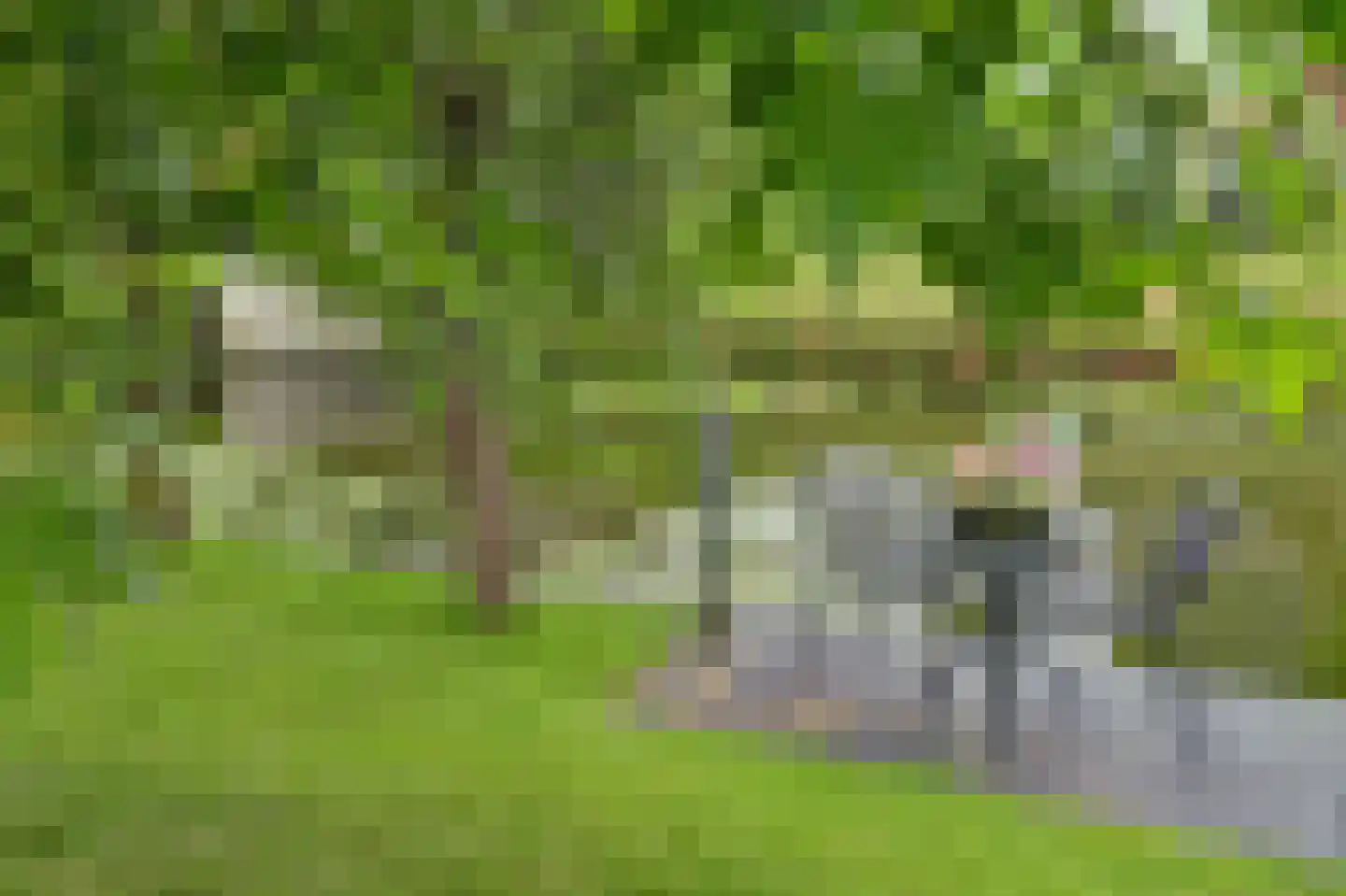 Belcampo 5 Grootebroek thumbnail 65