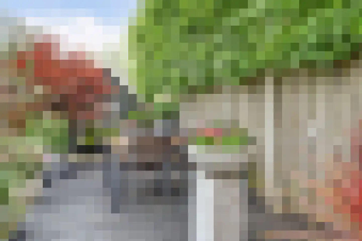 Belcampo 5 Grootebroek thumbnail 66