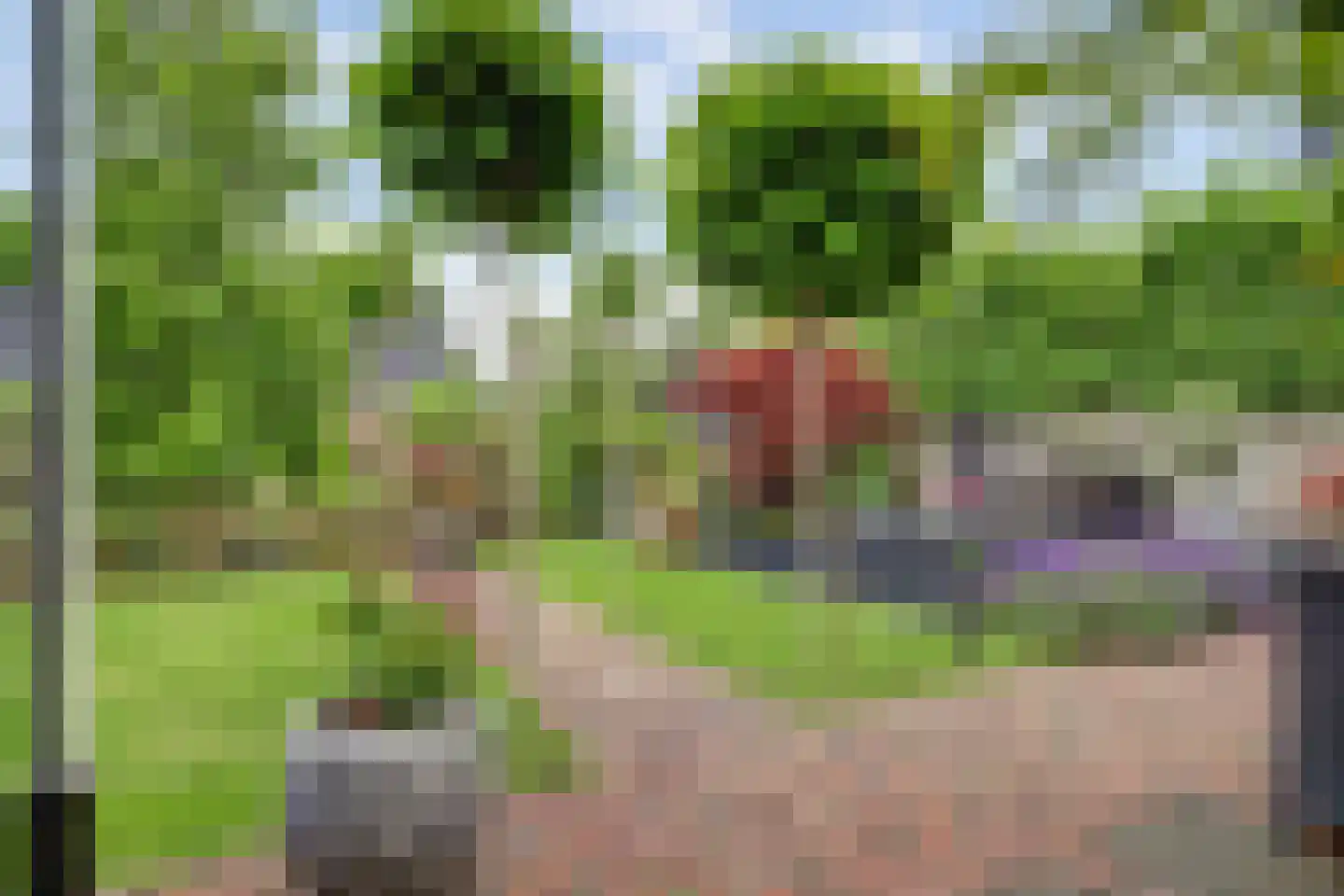 Belcampo 5 Grootebroek thumbnail 68