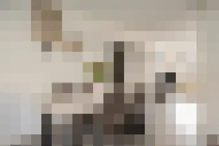 Belcampohof 14 Almere thumbnail 12
