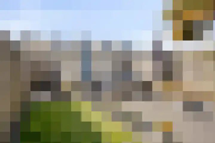 Belcampohof 14 Almere thumbnail 26