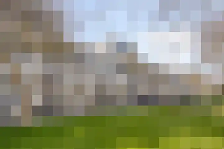 Belcampohof 14 Almere thumbnail 4
