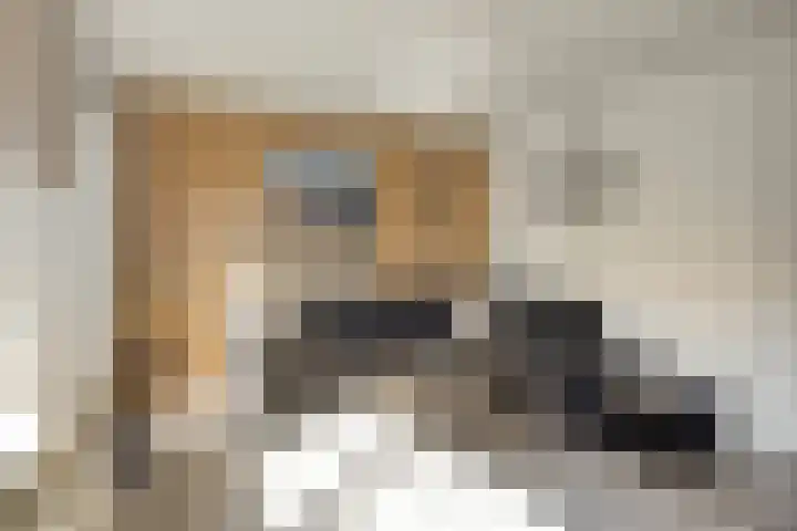Belcampohof 14 Almere thumbnail 8