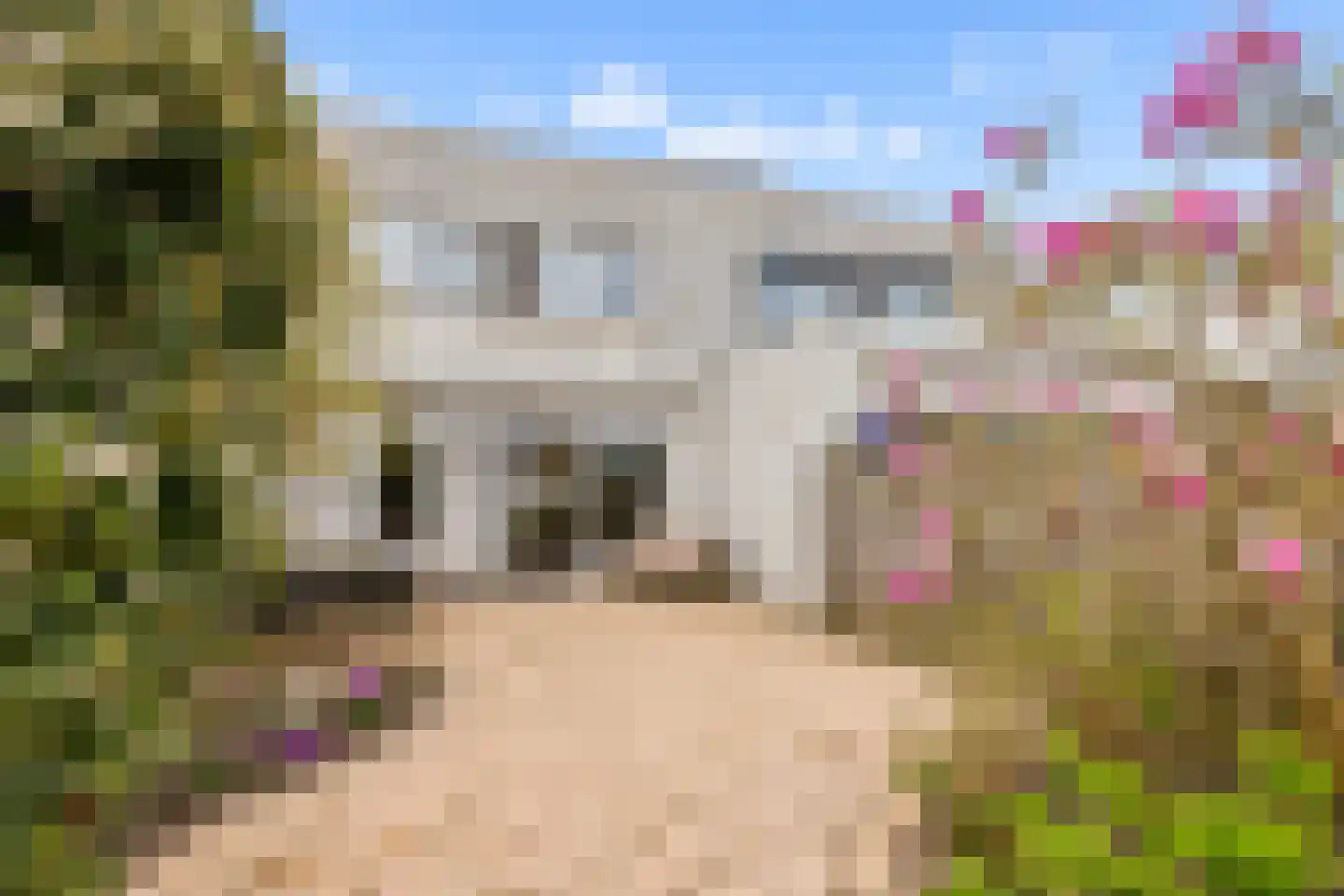 Belcampohof 18 Almere thumbnail 13