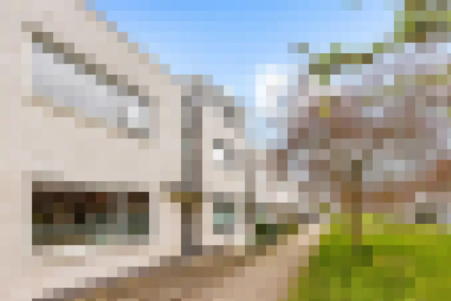 Belcampohof 18 Almere thumbnail 4