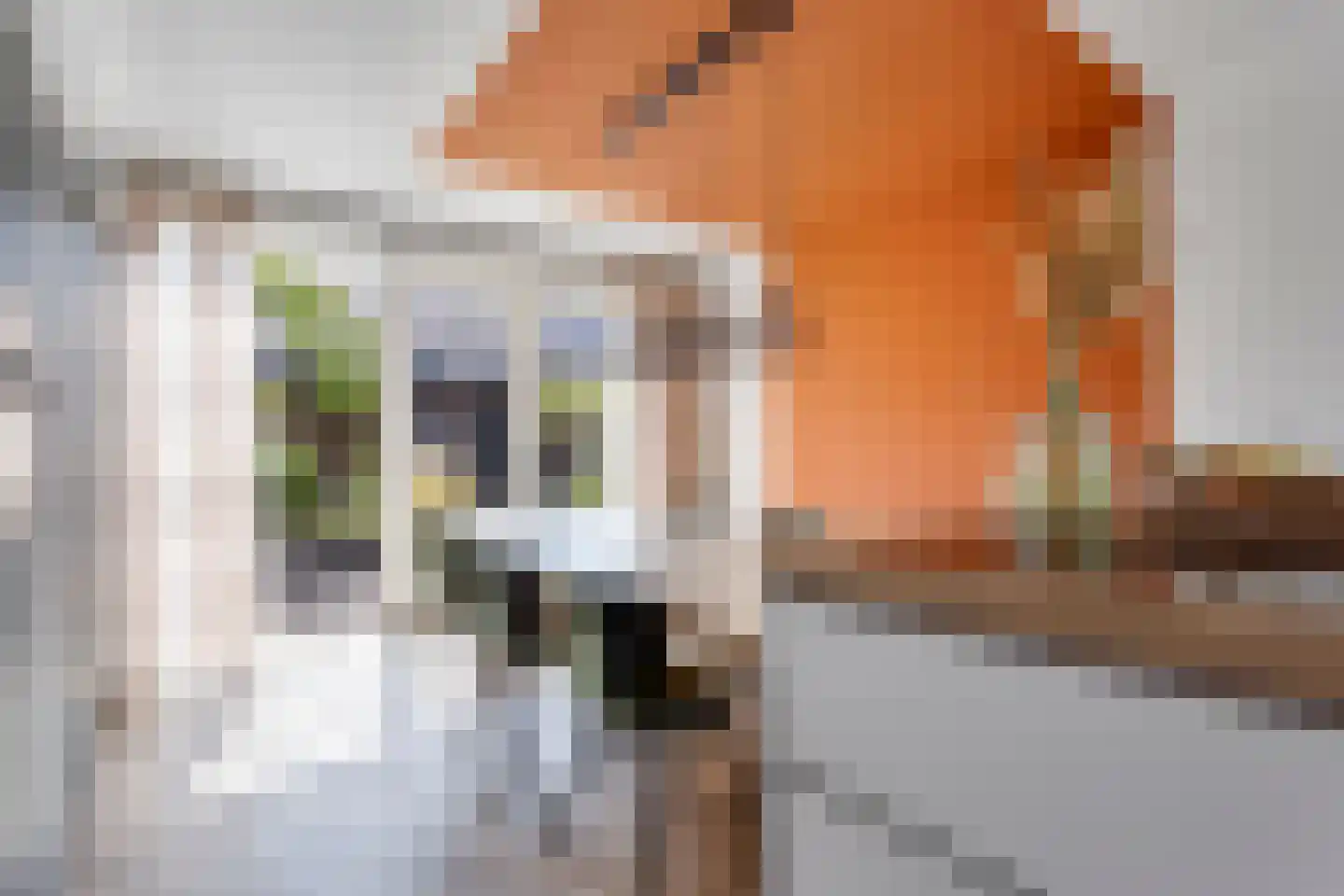 Belcampohof 34 Oud-Beijerland thumbnail 14