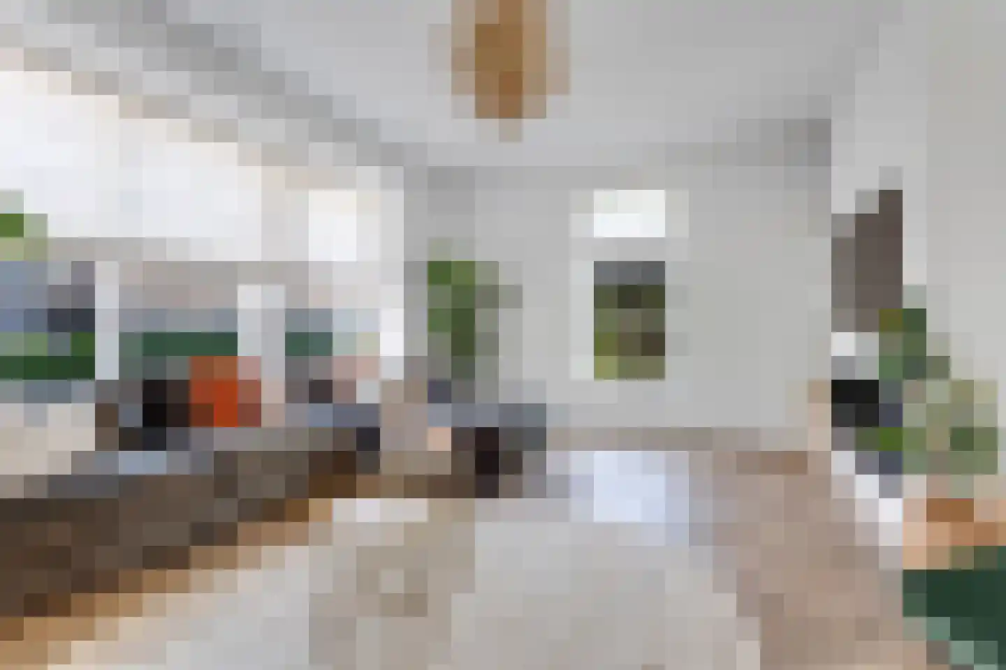 Belcampohof 34 Oud-Beijerland thumbnail 19