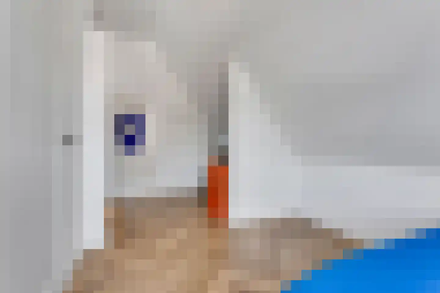 Belcampohof 34 Oud-Beijerland thumbnail 40