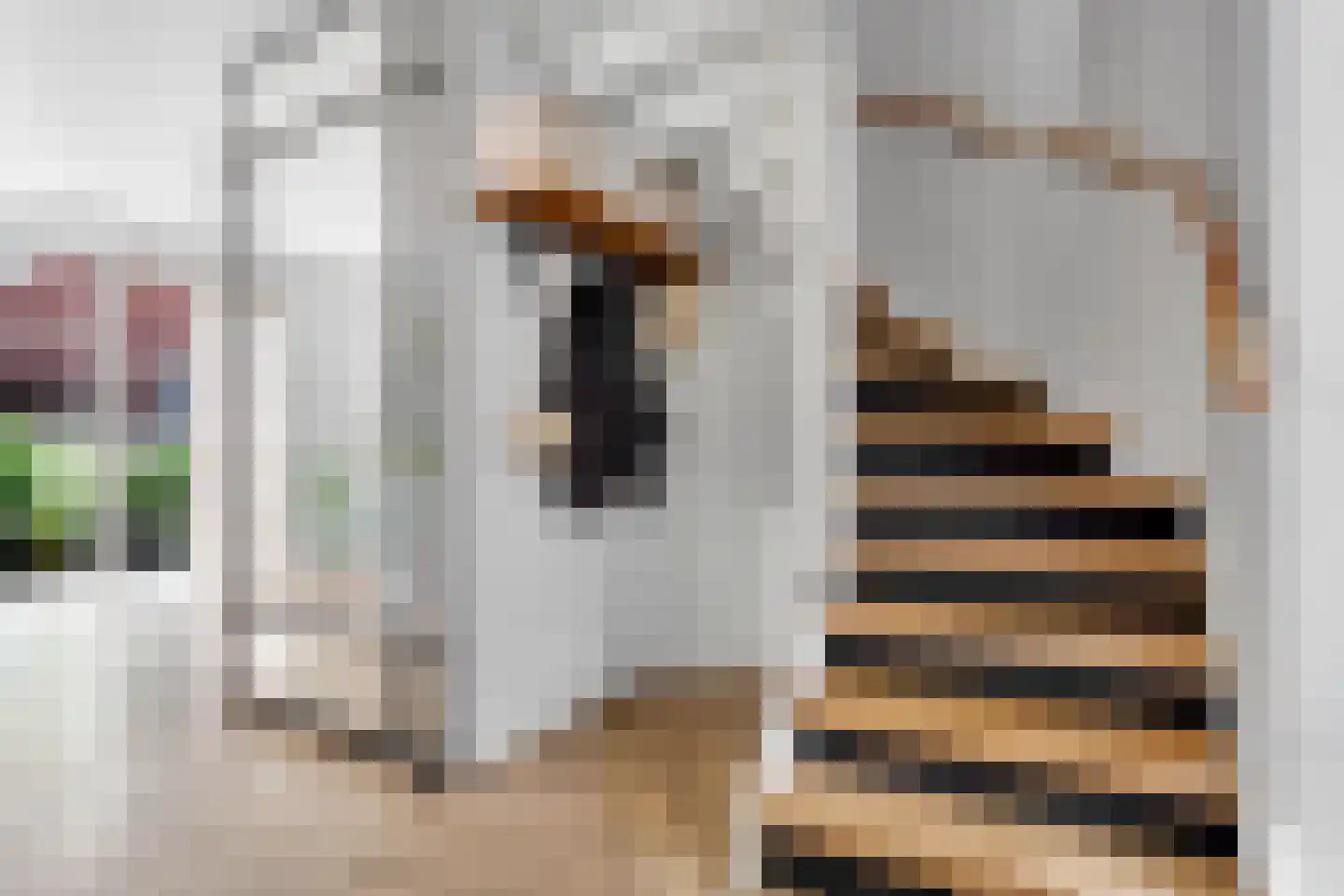 Belcampohof 34 Oud-Beijerland thumbnail 8