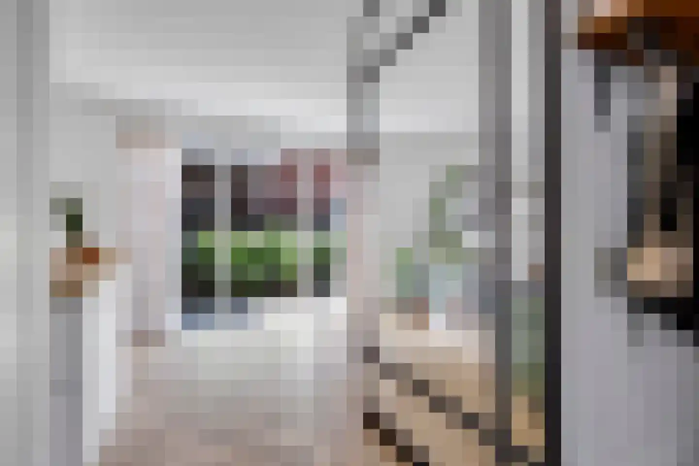 Belcampohof 34 Oud-Beijerland thumbnail 9