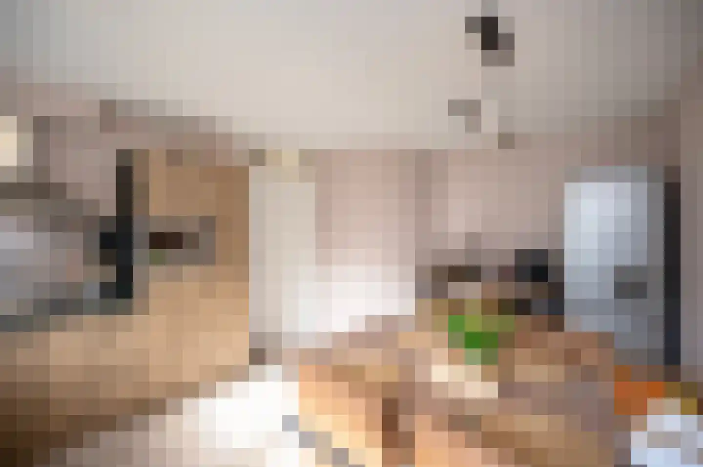 Belcampohof 5 Almere thumbnail 7