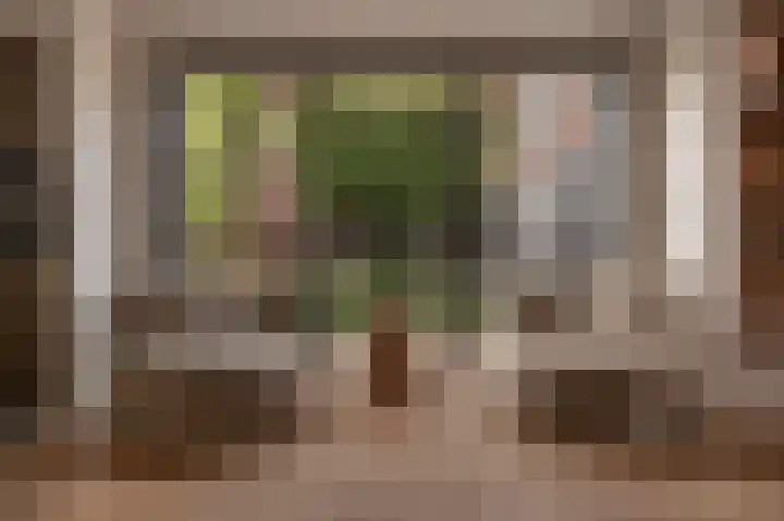 Belcampohof 6 Oud-Beijerland thumbnail 10