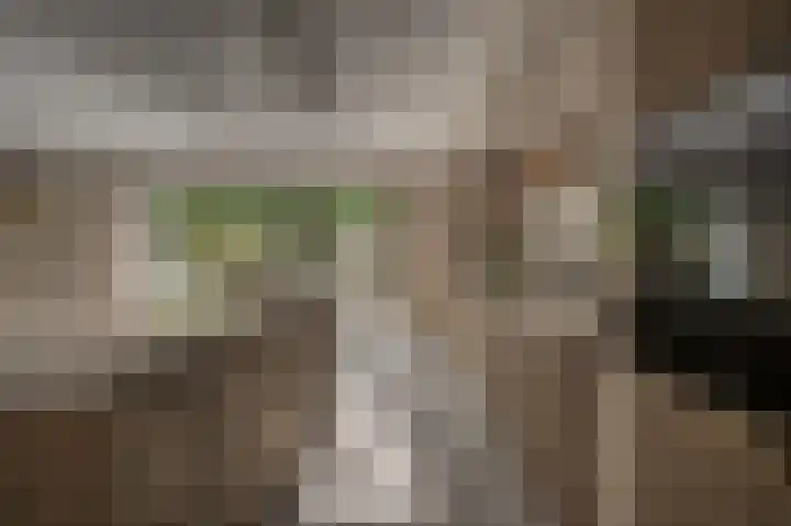 Belcampohof 6 Oud-Beijerland thumbnail 12