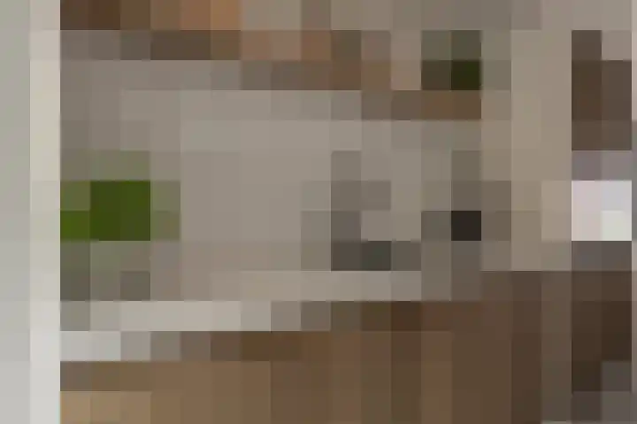 Belcampohof 6 Oud-Beijerland thumbnail 15
