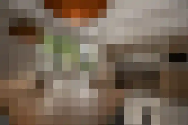 Belcampohof 6 Oud-Beijerland thumbnail 17