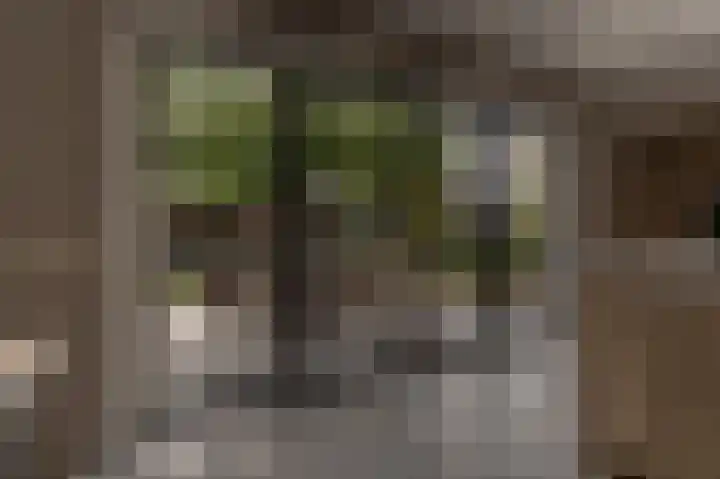 Belcampohof 6 Oud-Beijerland thumbnail 20