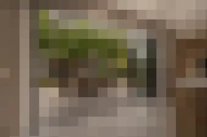Belcampohof 6 Oud-Beijerland thumbnail 21