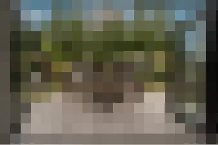 Belcampohof 6 Oud-Beijerland thumbnail 22