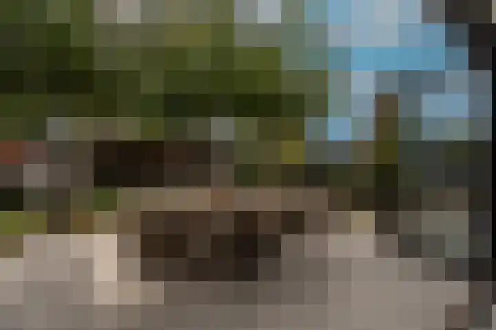 Belcampohof 6 Oud-Beijerland thumbnail 23