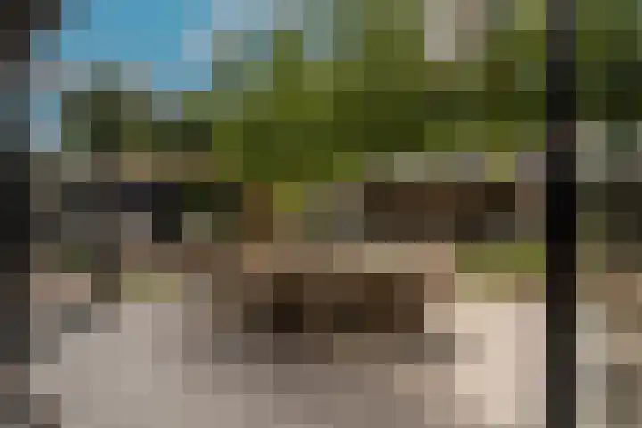 Belcampohof 6 Oud-Beijerland thumbnail 24