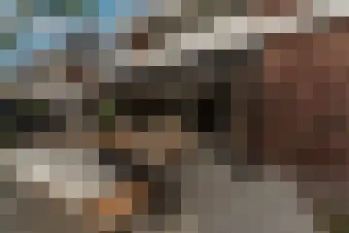 Belcampohof 6 Oud-Beijerland thumbnail 25