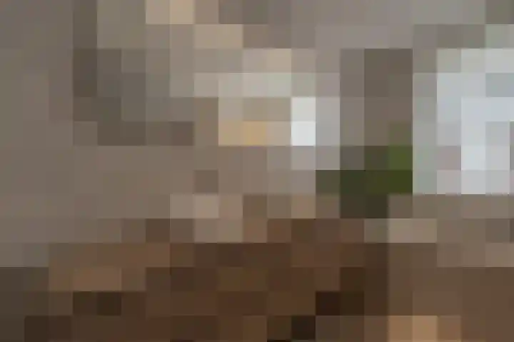 Belcampohof 6 Oud-Beijerland thumbnail 30