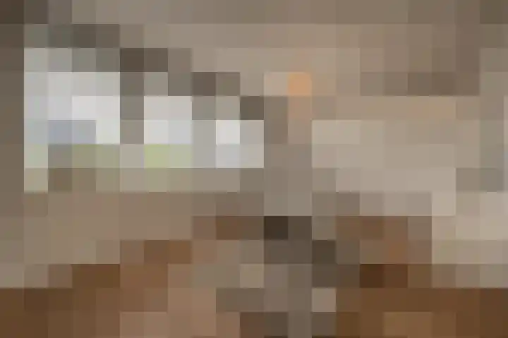Belcampohof 6 Oud-Beijerland thumbnail 34