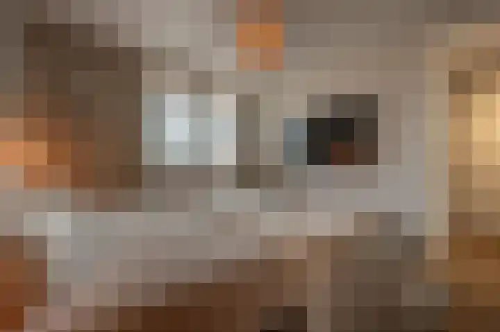 Belcampohof 6 Oud-Beijerland thumbnail 37
