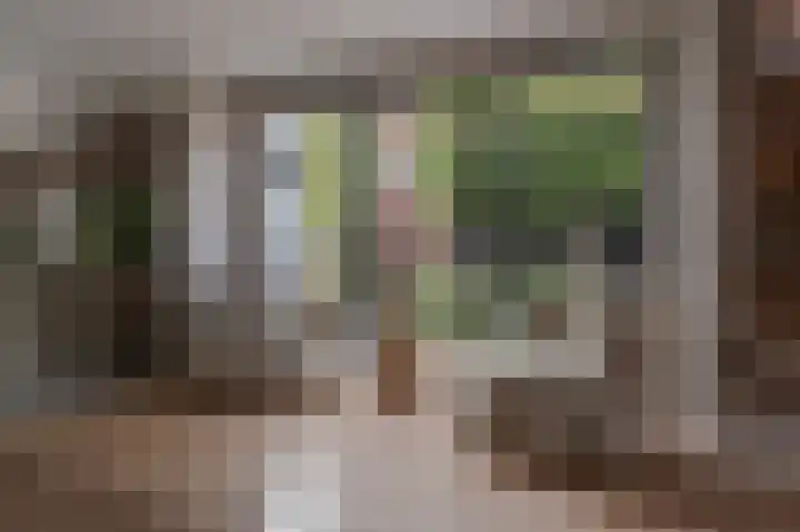 Belcampohof 6 Oud-Beijerland thumbnail 4