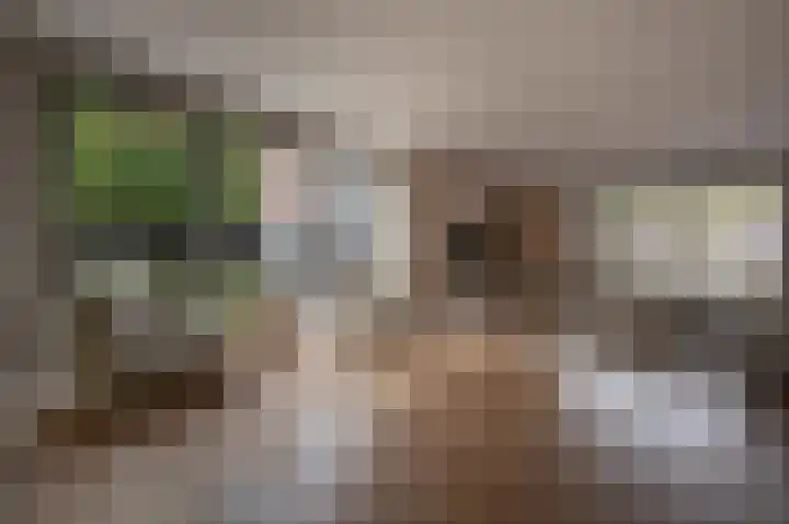 Belcampohof 6 Oud-Beijerland thumbnail 5