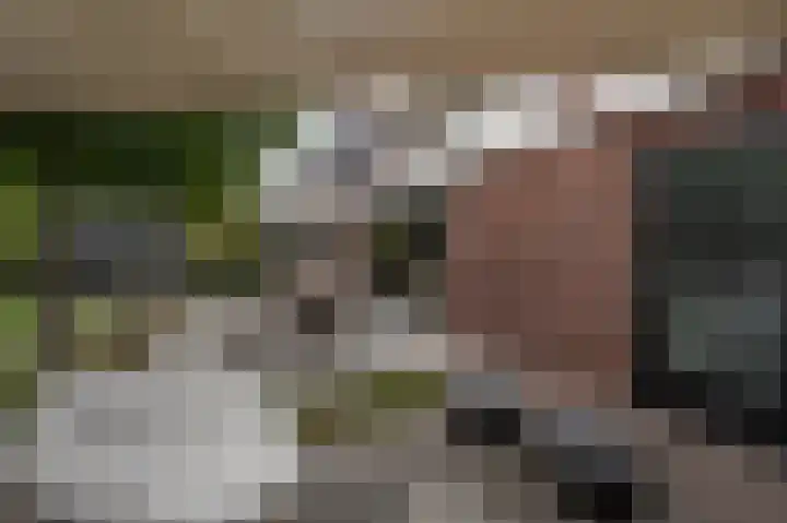 Belcampohof 6 Oud-Beijerland thumbnail 51
