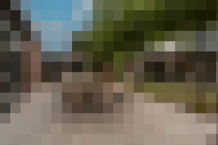 Belcampohof 6 Oud-Beijerland thumbnail 53