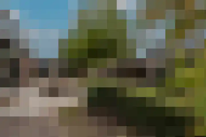 Belcampohof 6 Oud-Beijerland thumbnail 54