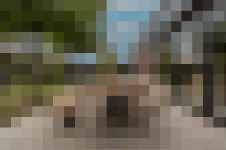 Belcampohof 6 Oud-Beijerland thumbnail 56