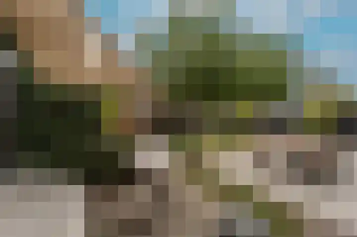 Belcampohof 6 Oud-Beijerland thumbnail 57