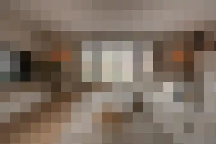 Belcampohof 6 Oud-Beijerland thumbnail 7