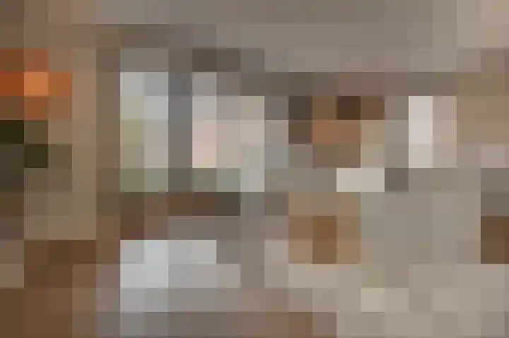 Belcampohof 6 Oud-Beijerland thumbnail 8