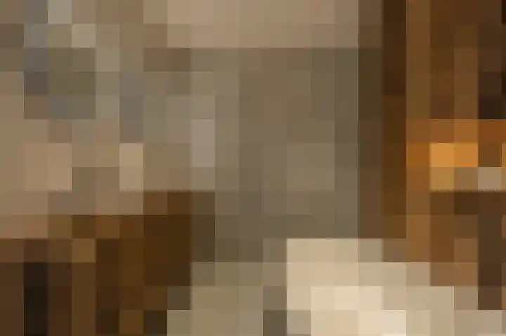 Belcampohof 8 Oud-Beijerland thumbnail 32