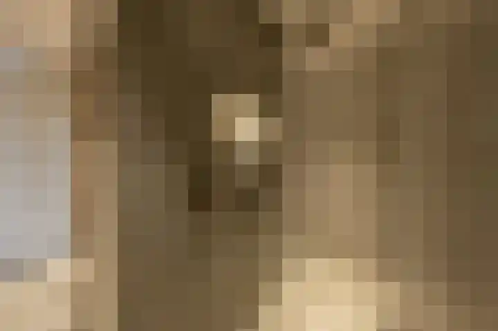 Belcampohof 8 Oud-Beijerland thumbnail 33