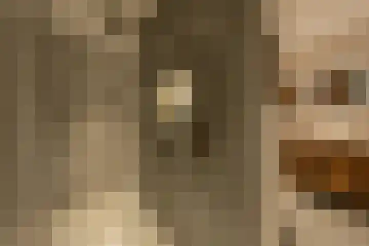 Belcampohof 8 Oud-Beijerland thumbnail 34