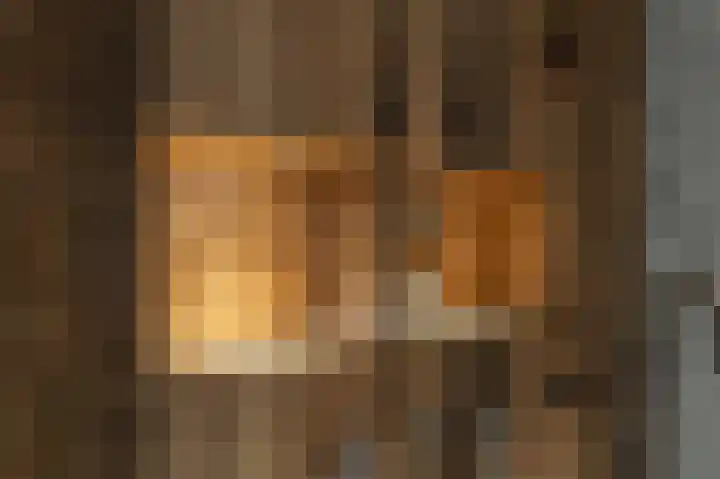 Belcampohof 8 Oud-Beijerland thumbnail 35