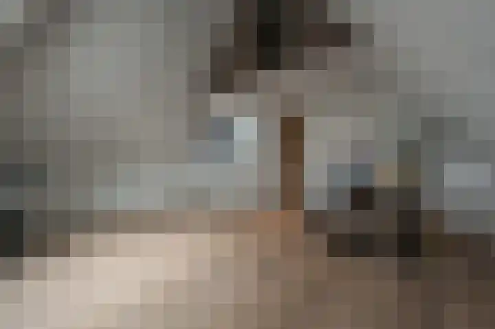Belcampohof 8 Oud-Beijerland thumbnail 42