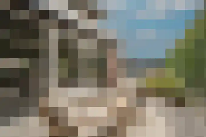 Belcampohof 8 Oud-Beijerland thumbnail 52