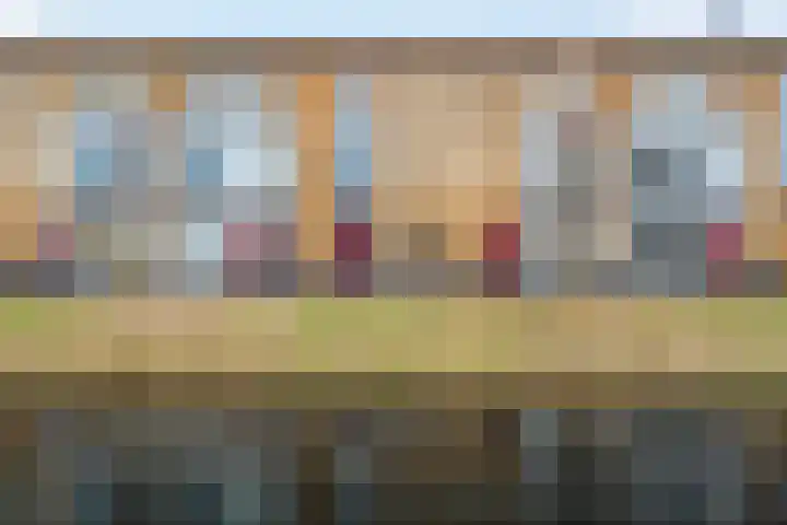 Belcamposingel 49 Groningen thumbnail 10