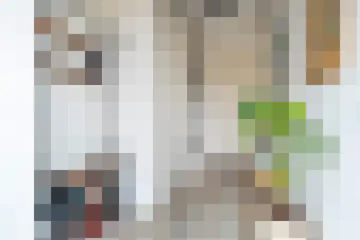 Belcamposingel 49 Groningen thumbnail 13
